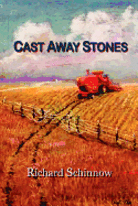 bokomslag Cast Away Stones
