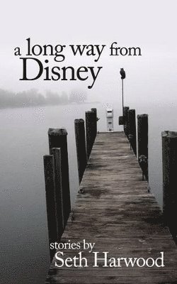 bokomslag Long Way from Disney