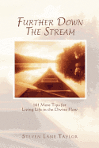 Steven Lane Taylor - Further Down The Stream: 101 More Tips for Living Life in the Divine Flow, Häftad