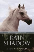 bokomslag Rain Shadow