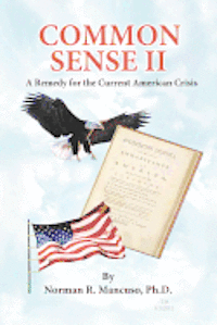 Common Sense II: A Remedy For The Current American Crisis 1
