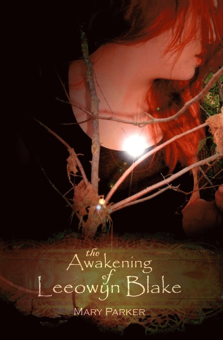 The Awakening of Leeowyn Blake 1
