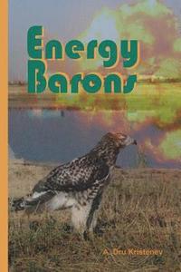 bokomslag Energy Barons