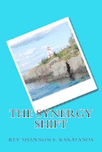 bokomslag The Synergy Shift