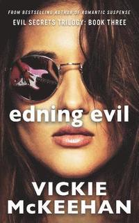 bokomslag Ending Evil
