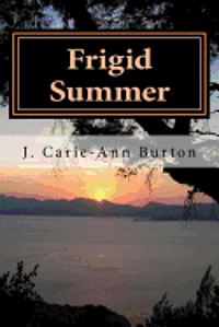bokomslag Frigid Summer