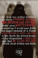 bokomslag Strange Case of Mr. Bodkin and Father Whitechapel