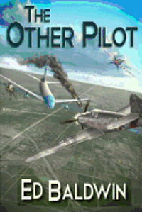 bokomslag The Other Pilot