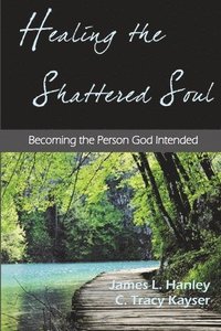 bokomslag Healing the Shattered Soul