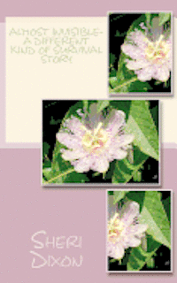 Almost Invisible- A Different Kind of Survival Story