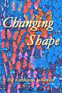 bokomslag Changing Shape