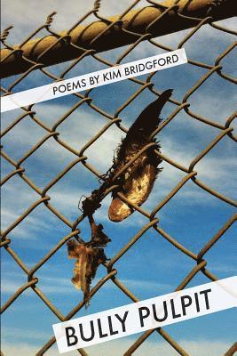 Kim Bridgford - Bully Pulpit, Häftad