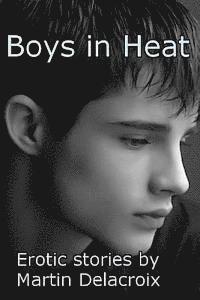 bokomslag Boys in Heat: Erotic stories by Martin Delacroix