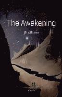 bokomslag The Awakening: Illumination