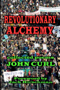 bokomslag Revolutionary Alchemy