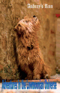 Daniel Ray Stevenson - Aubrey's Run: Lowmoonian Adventures, Häftad