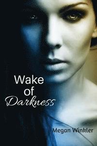 bokomslag Wake of Darkness