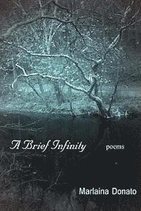 A Brief Infinity: Poems 1