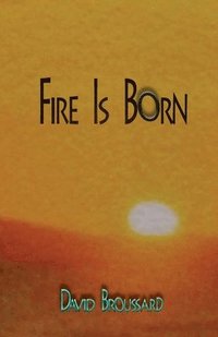 bokomslag Fire Is Born