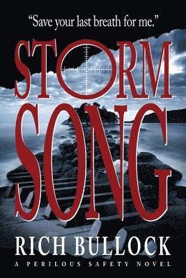 bokomslag Storm Song