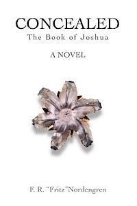 bokomslag Concealed: The Book of Joshua