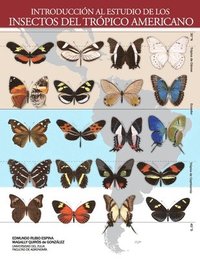 bokomslag Introduccin al Estudio de los Insectos del Trpico Americano