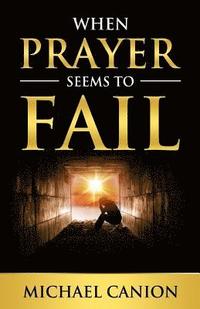 bokomslag When Prayer Seems To Fail