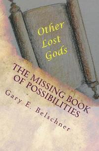 bokomslag The missing Book of Possibilities: and Other Lost Gods