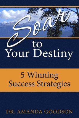 Soar to Your Destiny: Winning Success Strategies 1
