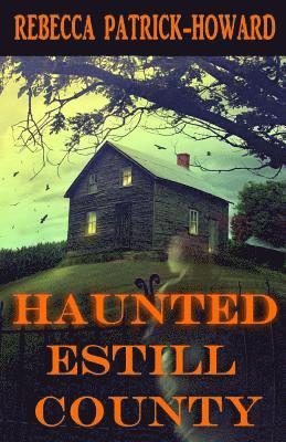 bokomslag Haunted Estill County