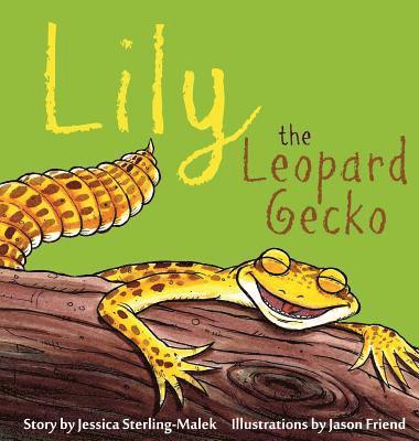 Lily the Leopard Gecko 1
