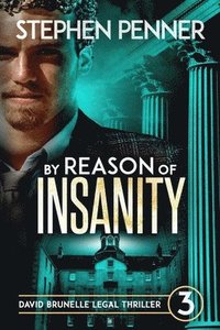 bokomslag By Reason of Insanity: David Brunelle Legal Thriller #3