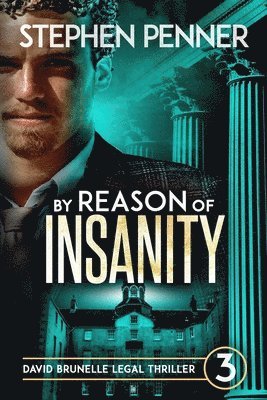 bokomslag By Reason of Insanity: David Brunelle Legal Thriller #3