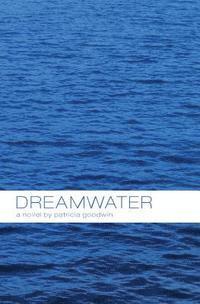 bokomslag Dreamwater