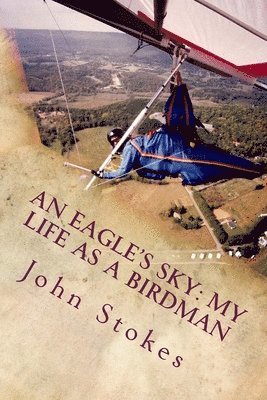 An Eagle's Sky: My Life as a Birdman: How I Helped a One-winged Eagle Fly Again
