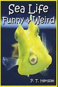 bokomslag Sea Life Funny & Weird Marine Animals: Learn with Amazing Photos and Facts About Ocean Marine Sea Animals.