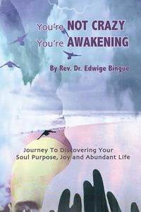 bokomslag You're Not Crazy, You're Awakening: Journey To Discovering Your Soul Purpose, Joy And Abundant Life