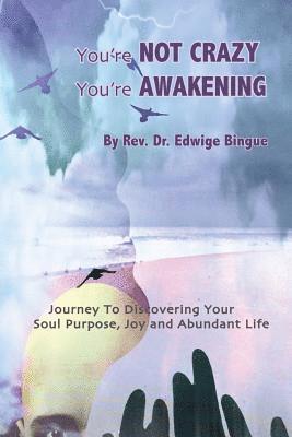 bokomslag You're Not Crazy, You're Awakening: Journey To Discovering Your Soul Purpose, Joy And Abundant Life