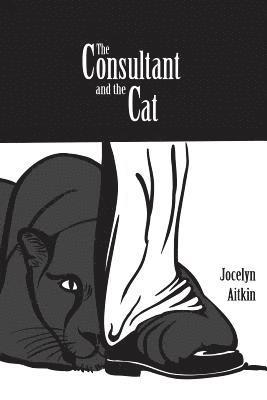 The Consultant and the Cat 1