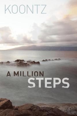 A Million Steps 1