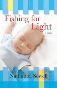 bokomslag Fishing for Light