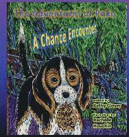 The Adventures of Poko - A Chance Encounter