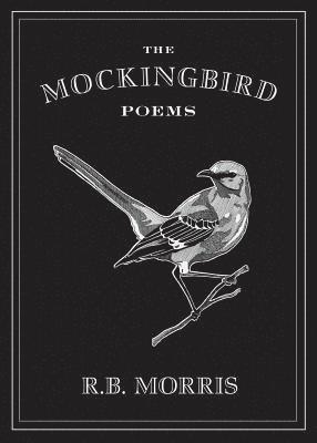 bokomslag Mockingbird Poems