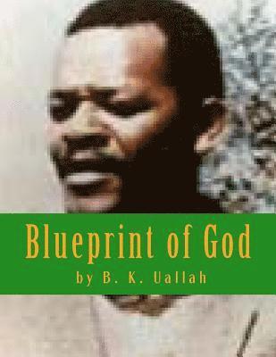 bokomslag Blueprint of God