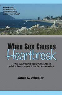 bokomslag When Sex Causes Heartbreak: What Every Wife Should Know About Affairs, Pornography & the Sexless Marriage