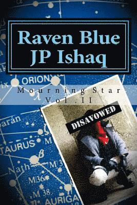 bokomslag Raven Blue