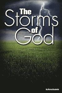 bokomslag The Storms of God