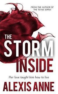 bokomslag The Storm Inside