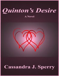 bokomslag Quinton's Desire