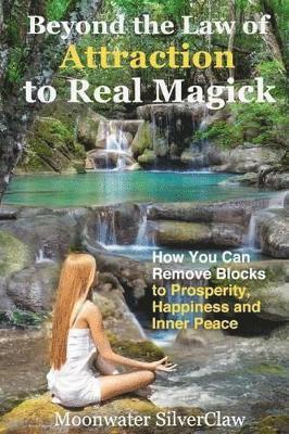 bokomslag Beyond the Law of Attraction to Real Magic